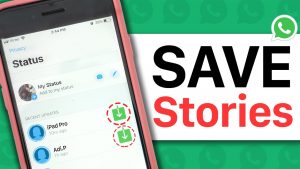 how-to-save-whatsapp-status-(lovestatuswhatsapp.com)